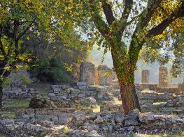 Book a Memorable, Private Full Day To Olympia